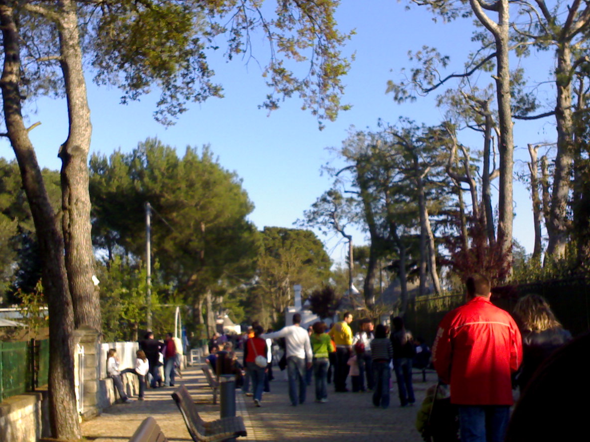 Selva Di Fasano