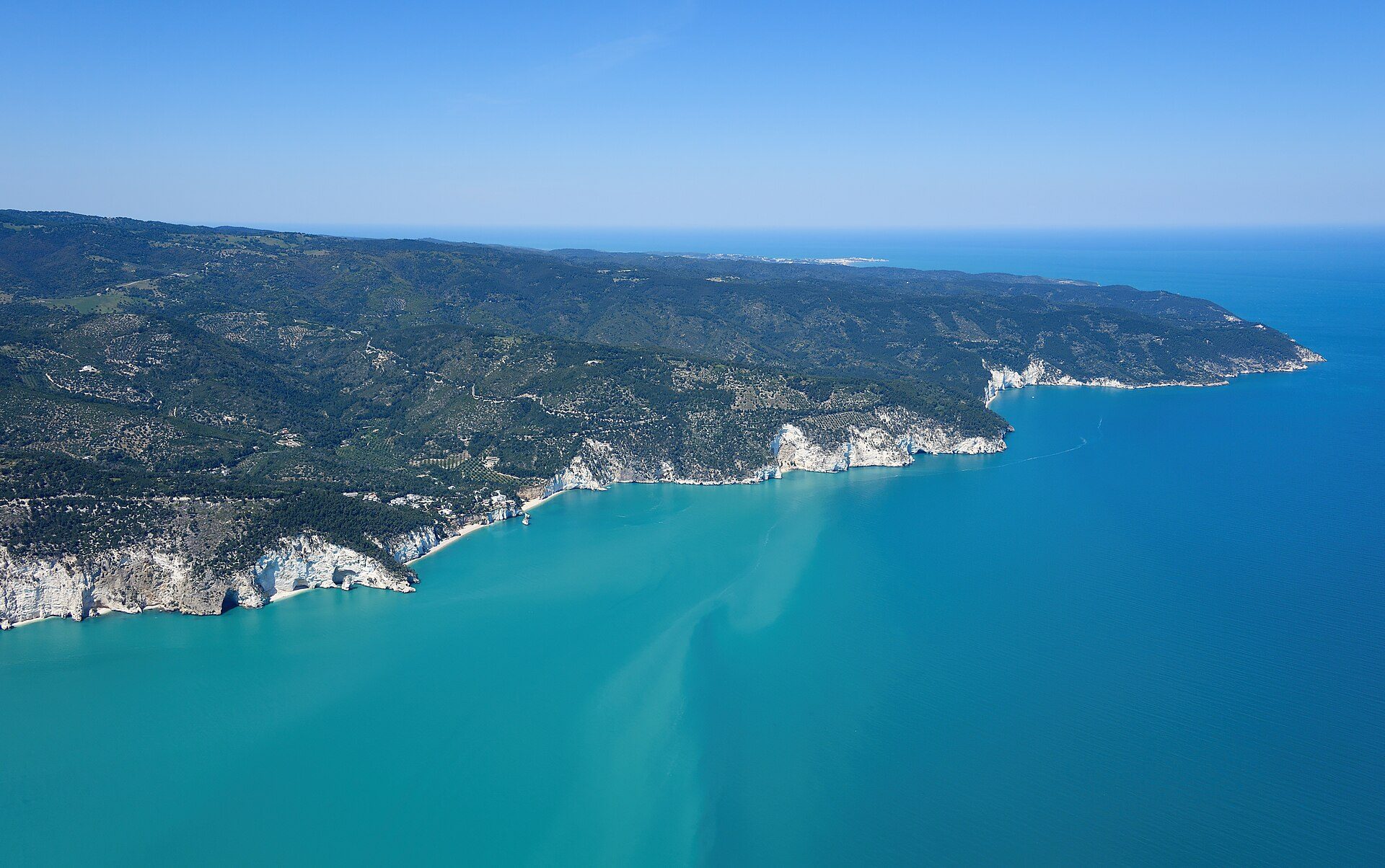 Gargano (2)